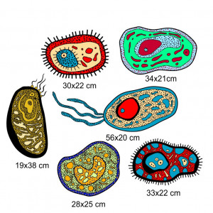 Sticker perete Laborator Biologie - Celule2