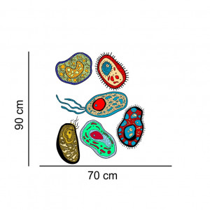Sticker perete Laborator Biologie - Celule3