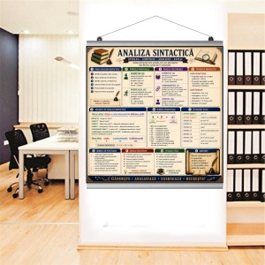 Plansa analiza sintactica sistem prindere