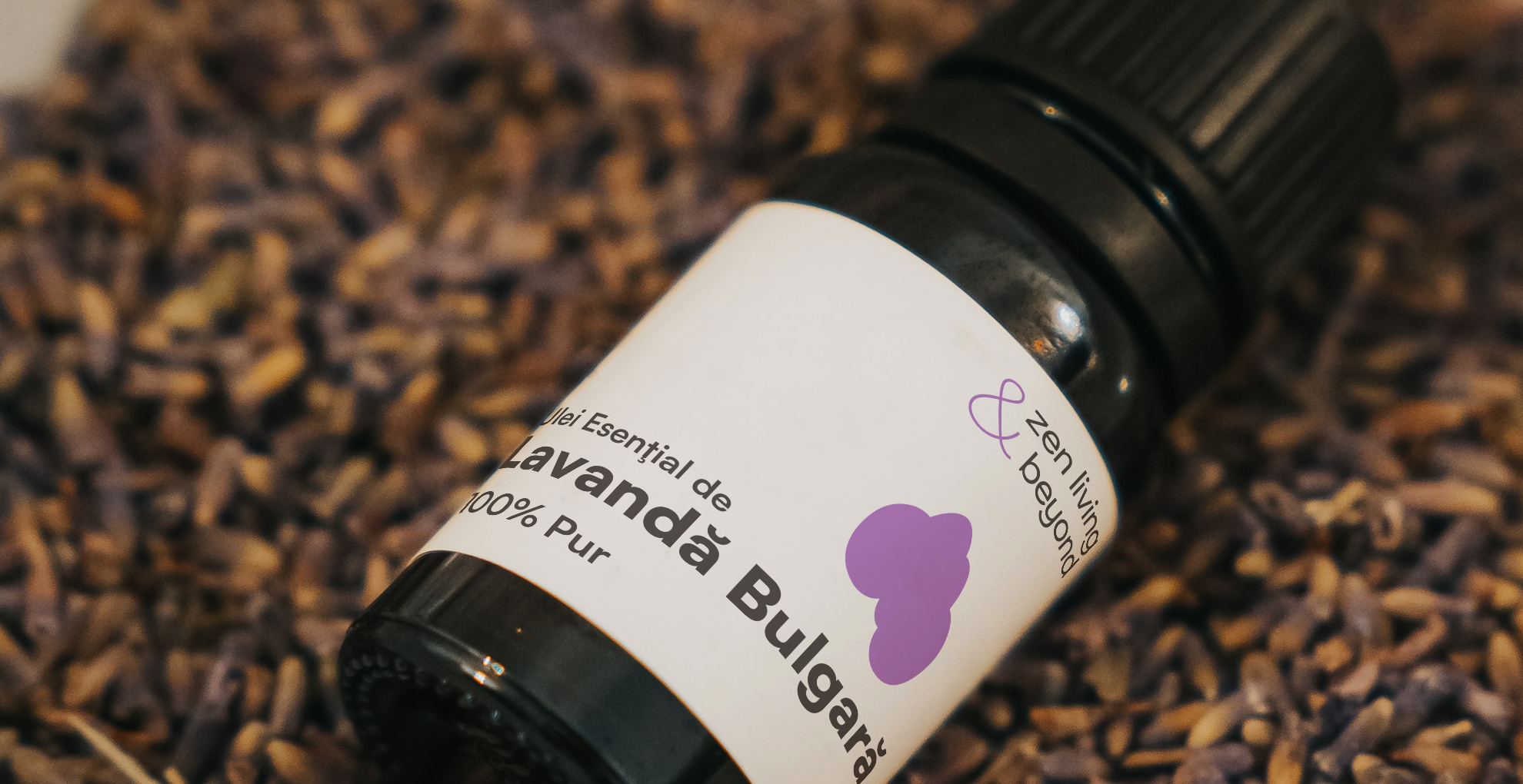 Lavanda Bulgară vs. Lavanda obișnuită: De ce este cea mai bună alegere pentru un somn profund?