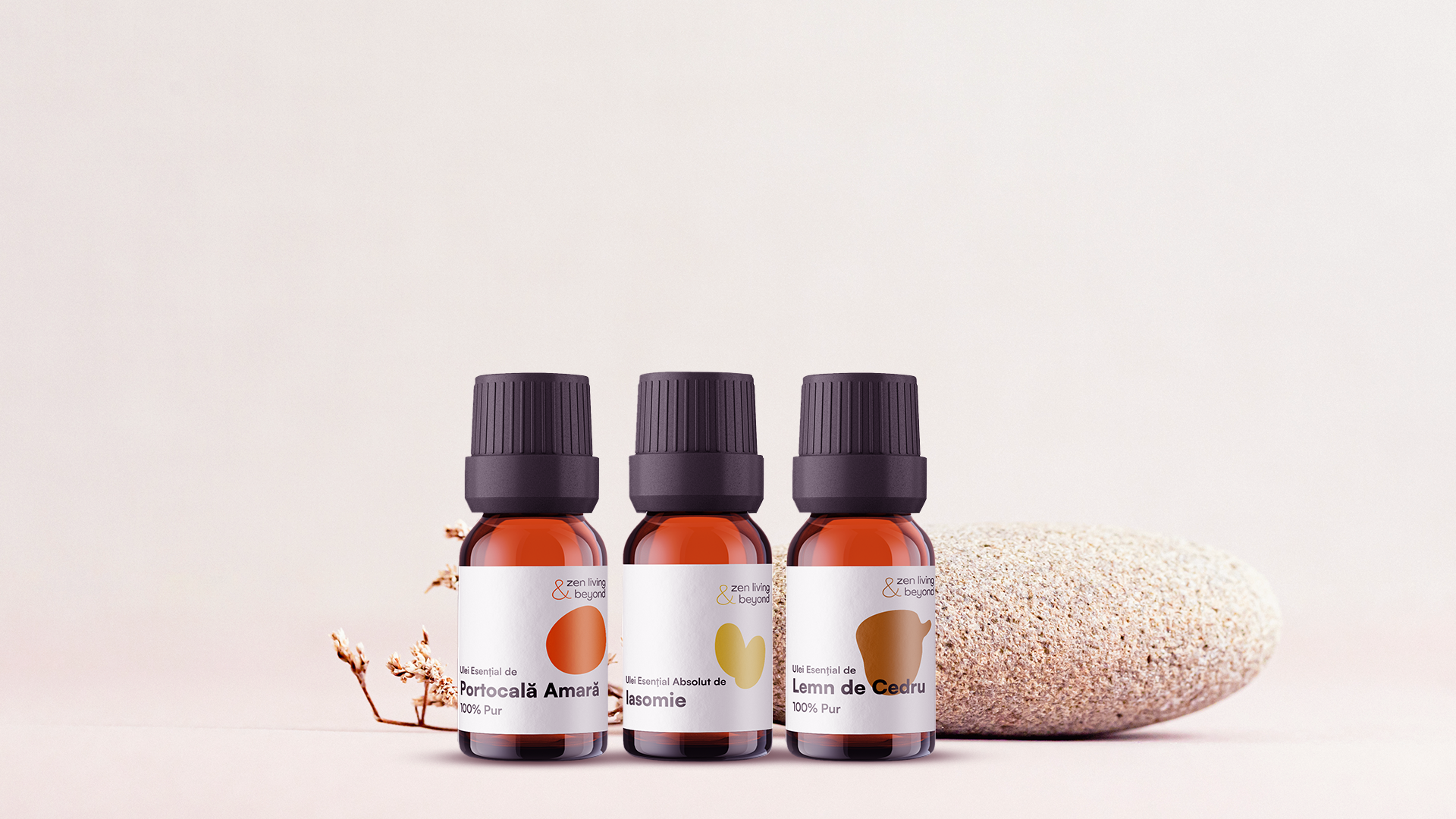 Simfonia aromelor: Ghidul complet al notelor de vârf, mijloc și bază în aromaterapie