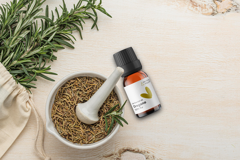 Scutul Invizibil: De ce Uleiul de Oregano este „Antibioticul Natural” Suprem de care corpul tău are nevoie