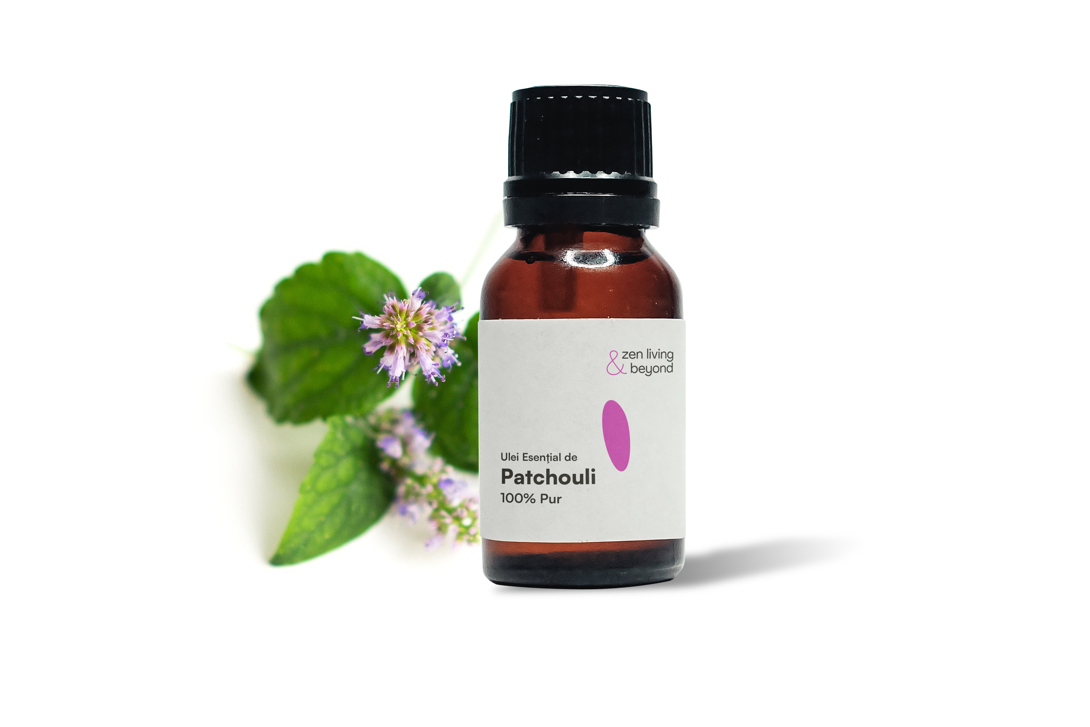 Patchouli: Mai mult decât un simbol hippie – Beneficii uimitoare pentru piele și minte