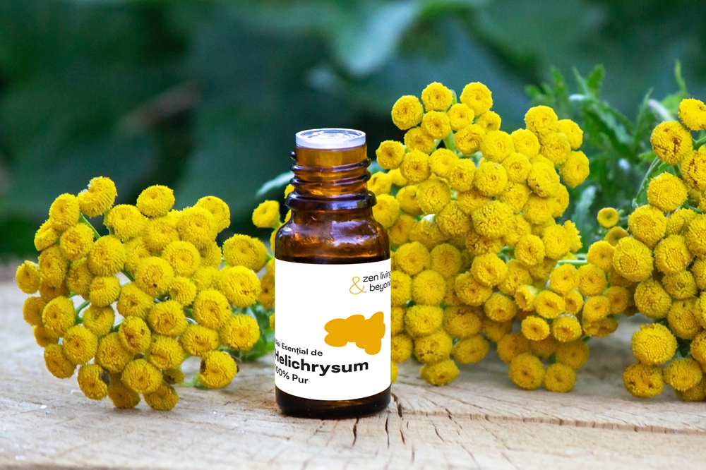 Helichrysum (Immortelle): Floarea care nu se ofilește și șterge vânătăile ca prin minune