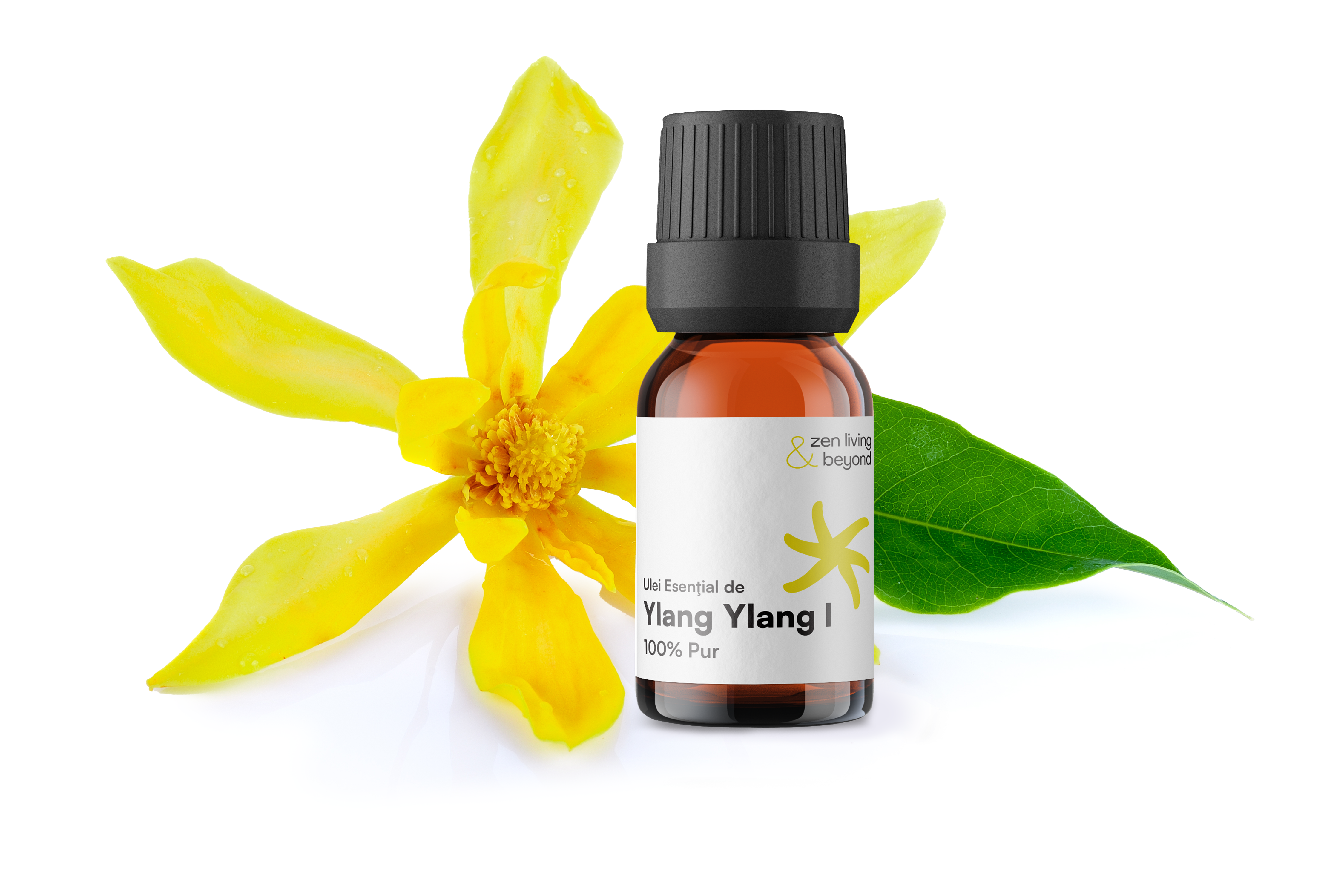 Ylang Ylang 1: Cum să folosești „Floarea Florilor” pentru echilibru hormonal și senzualitate