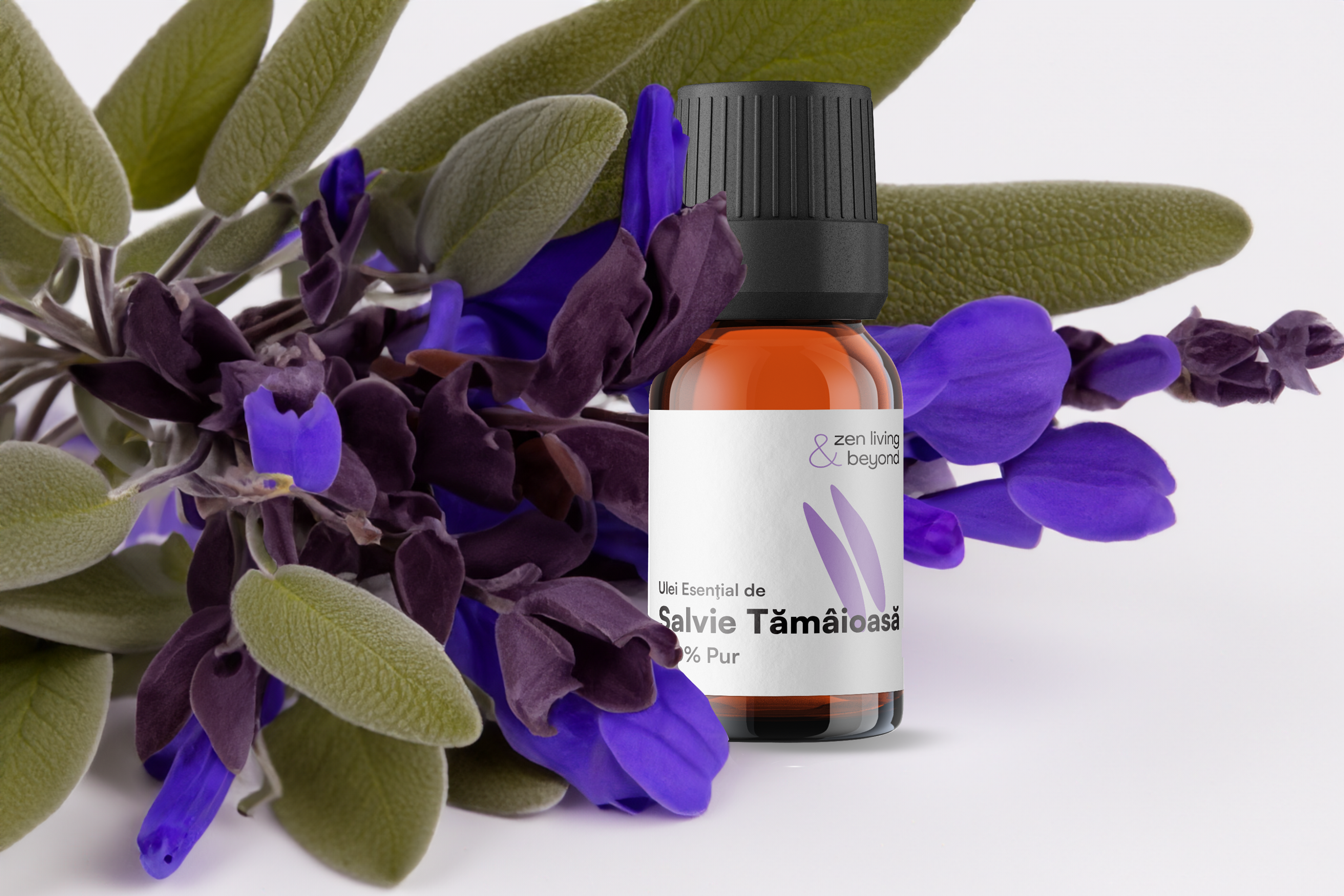 Salvia Tămâioasă: Cel mai bun prieten al femeii pentru reglarea ciclului și a menopauzei