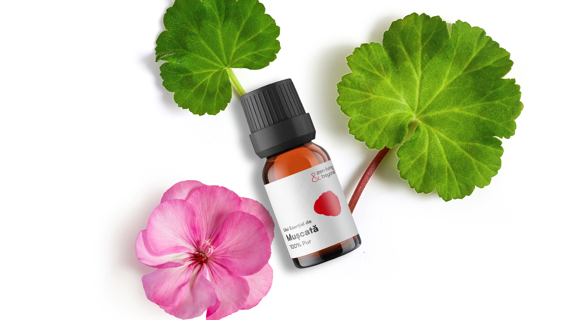 Mușcata (Geranium): Uleiul echilibrului care reglează sebumul și stările emoționale oscilante
