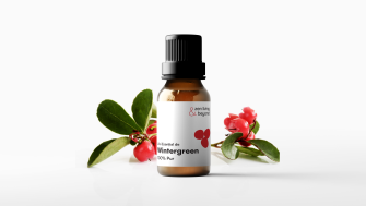 Wintergreen: Soluția naturală pentru durerile musculare și articulare după sport