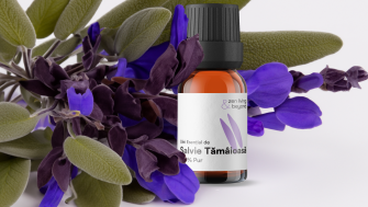 Salvia Tămâioasă: Cel mai bun prieten al femeii pentru reglarea ciclului și a menopauzei