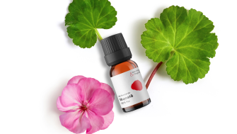 Mușcata (Geranium): Uleiul echilibrului care reglează sebumul și stările emoționale oscilante