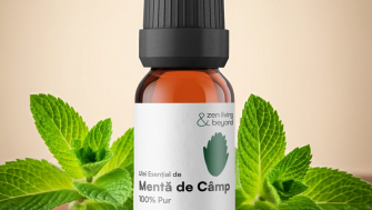 Vigoare și claritate: Ghidul esențial al aromelor ierbacee, mentolate și camforate
