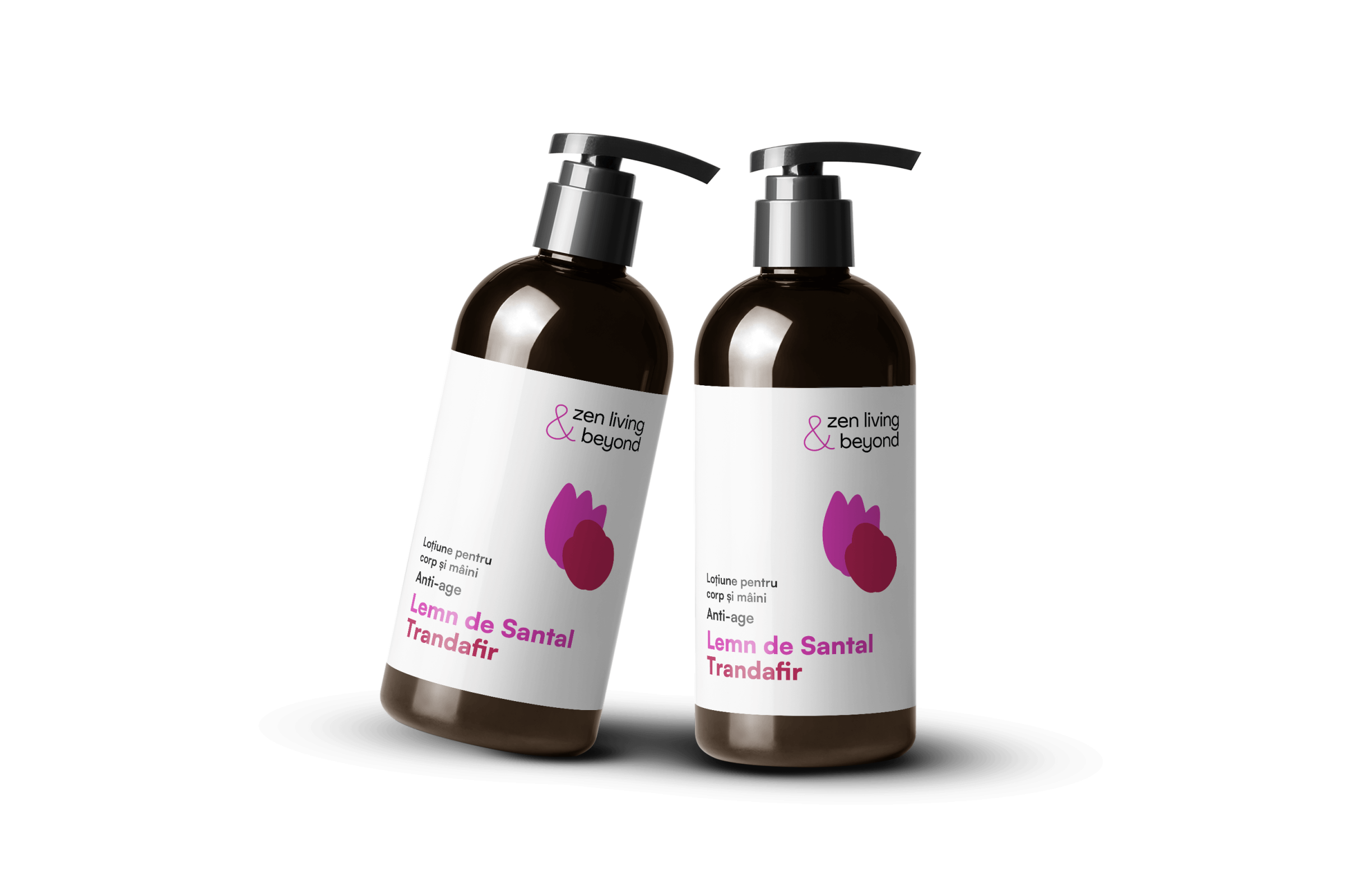 armonie pentru trup si simturi zen living