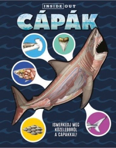Cápák - 3D modell