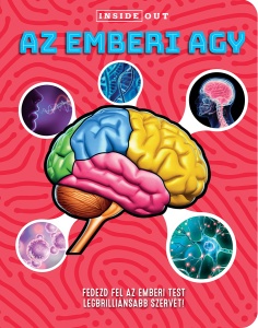Az emberi agy – 3D modell