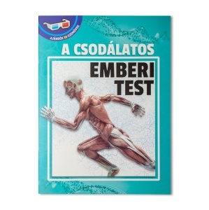 Emberi test – Puzzle - Img 4