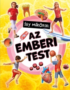 Így működik: Az emberi test