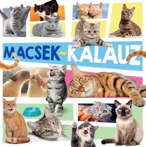 Macsek kalauz