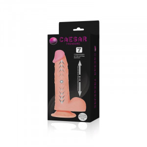 Caesar Treasure Realistic Dildo Function Up & Down - Img 7