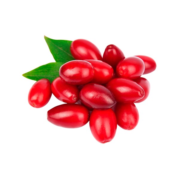 Дрењине (Cornus mas)