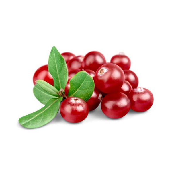 Брусница (Vaccinium vitis-idea)
