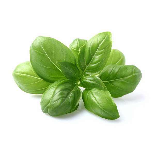 Босиљак (Ocimum basilicum)