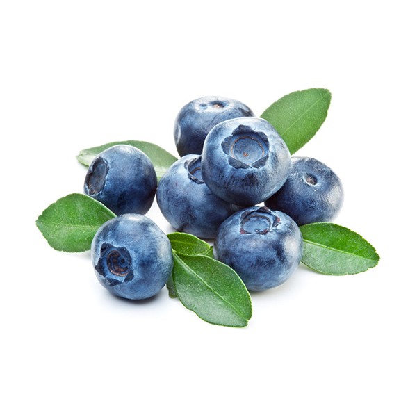 Боровница (Vaccinium myrtillus)