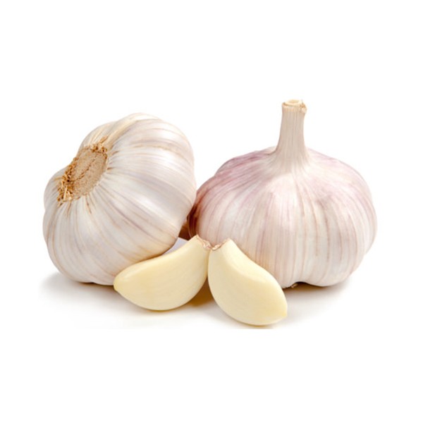 Бели лук (Allium stivum)