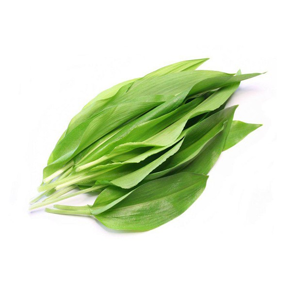 Сремуш (Allium ursinum)