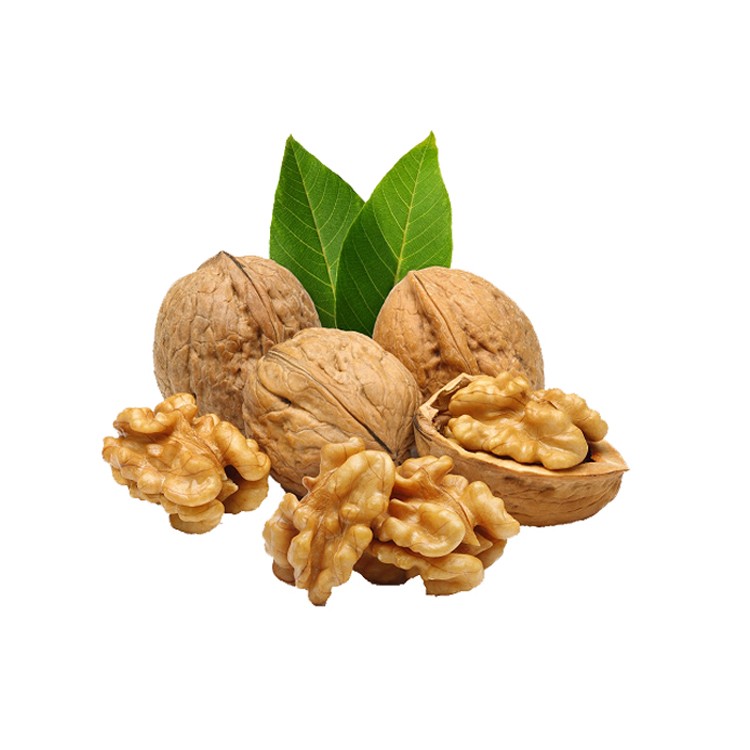 Орах (Juglans regia)