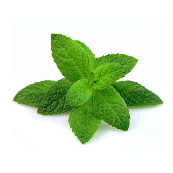 Нана/Мента (Mentha piperita)