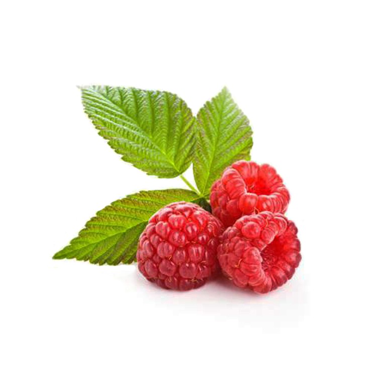 Малина (Rubus ideaus)