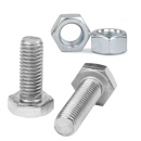 SET Surub M10 x 25 cu cap hexagonal + Piulite M10