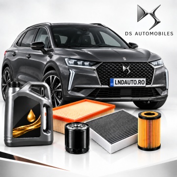 Oferta Personalizata Pachet Revizie DS