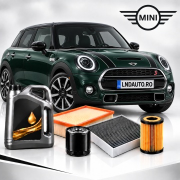 Oferta Personalizata Pachet Revizie MINI