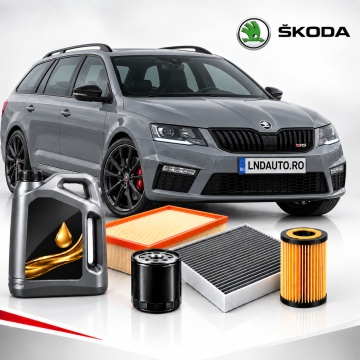 Oferta Personalizata Pachet Revizie Skoda
