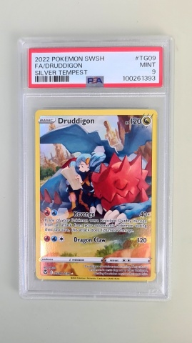 Druddigon FA (Drayden) Mint 9 #TG09 / TG30 Full Art Rare (engleză) PSA 9 GEM MT - Img 3