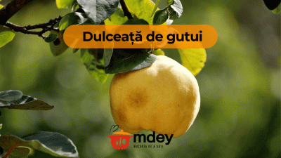 Gem de gutui