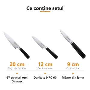 Set 3 cuțite Damasc Konstanz Carl Schmidt Sohn: bucătar 20 cm, santoku 12 cm, utilitar 9 cm, HRC 60 - Img 2
