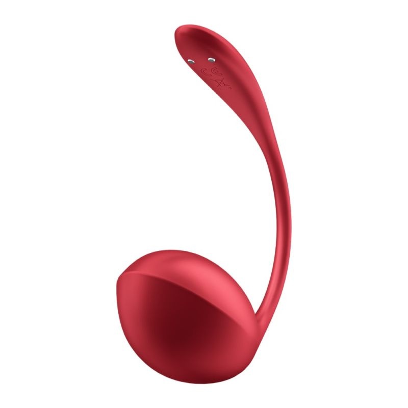 Vibrator cu telecomanda Satisfyer Shiny Petal red - 3 | YEO