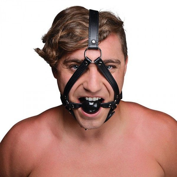 Head Harness