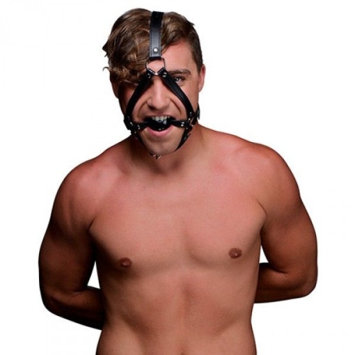 Head Harness - Img 2