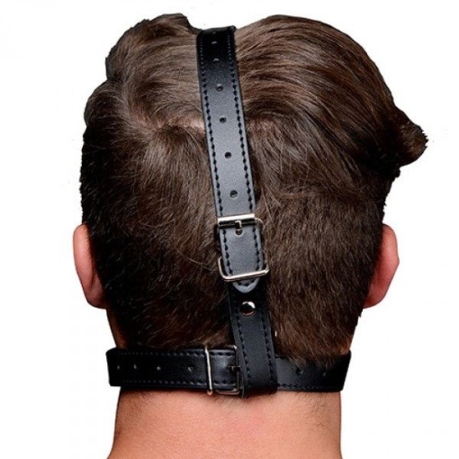 Head Harness - Img 3