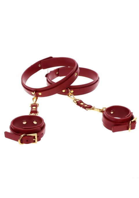 TABOOM WRIST TO THIGH CUFFS SET - Img 3