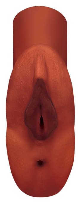 Masturabator dublu sub forma de vagin si de anus Perfect Pussy Double Stroker, brown - Img 3