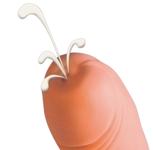 Dildo realist cu ejaculare Squirting Penis (21cm) - Img 4