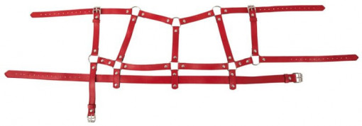Set de 4 piese cu ham, catuse si gag/choker Harness Set - Img 5