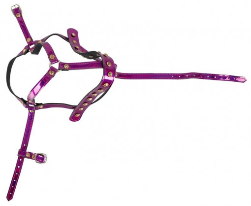 Ham reglabil pentru cap Head Harness - Img 2