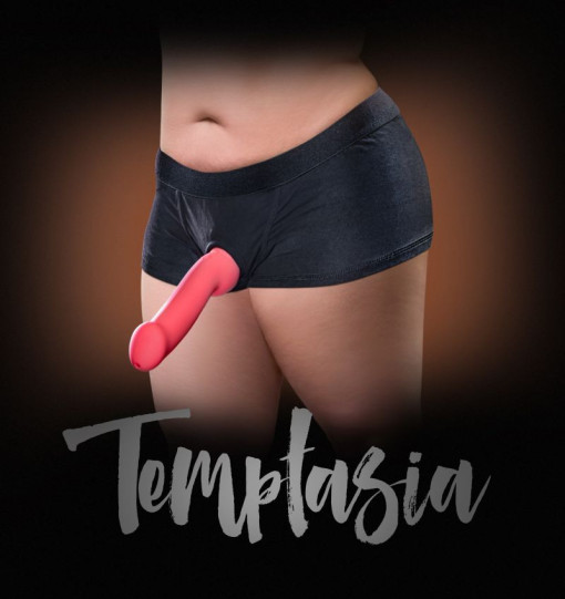 TEMPTASIA HARNESS BRIEFS 2XL BLACK - Img 2