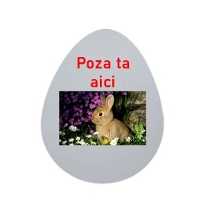 Ou Kinder personalizat cu poza