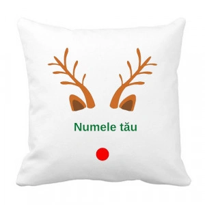 Perna personalizata cu tematica ren si numele tau